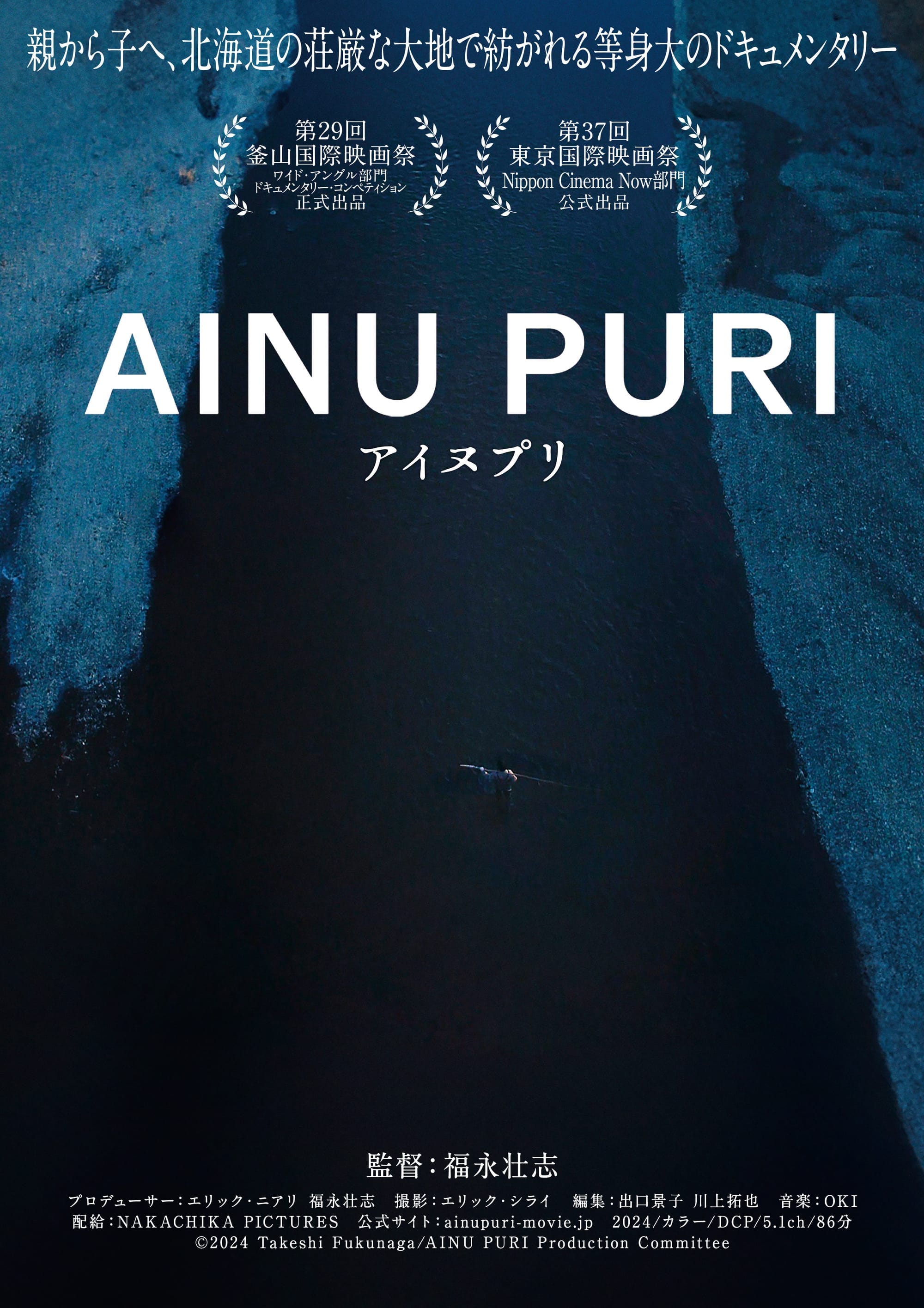 AINU PURI poster