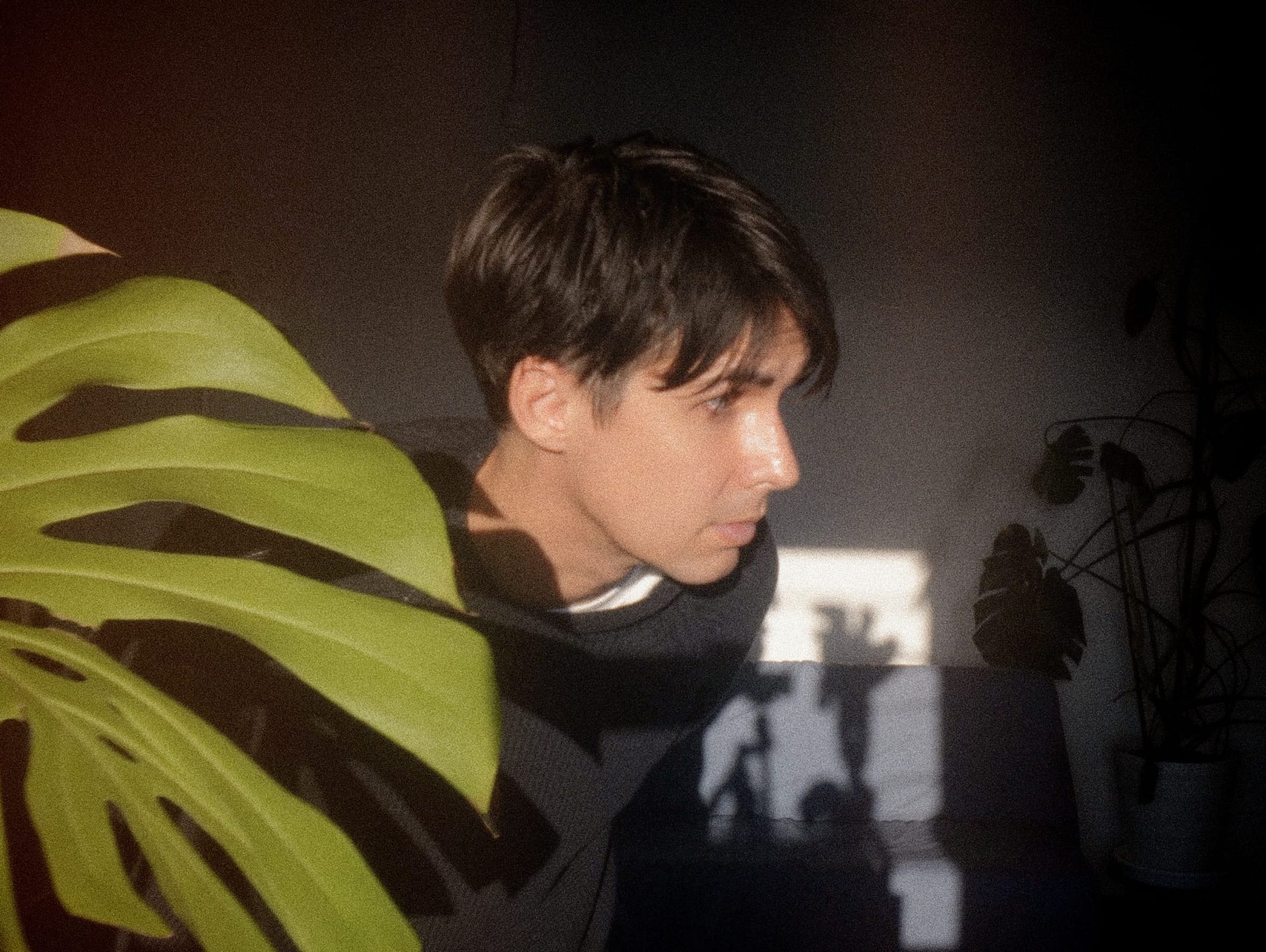 Lullatone profile photo