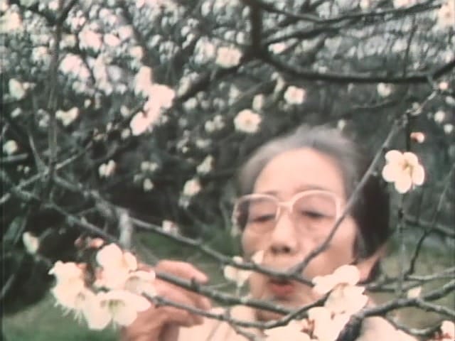 Uno Kawase looking at blossoms on a tree