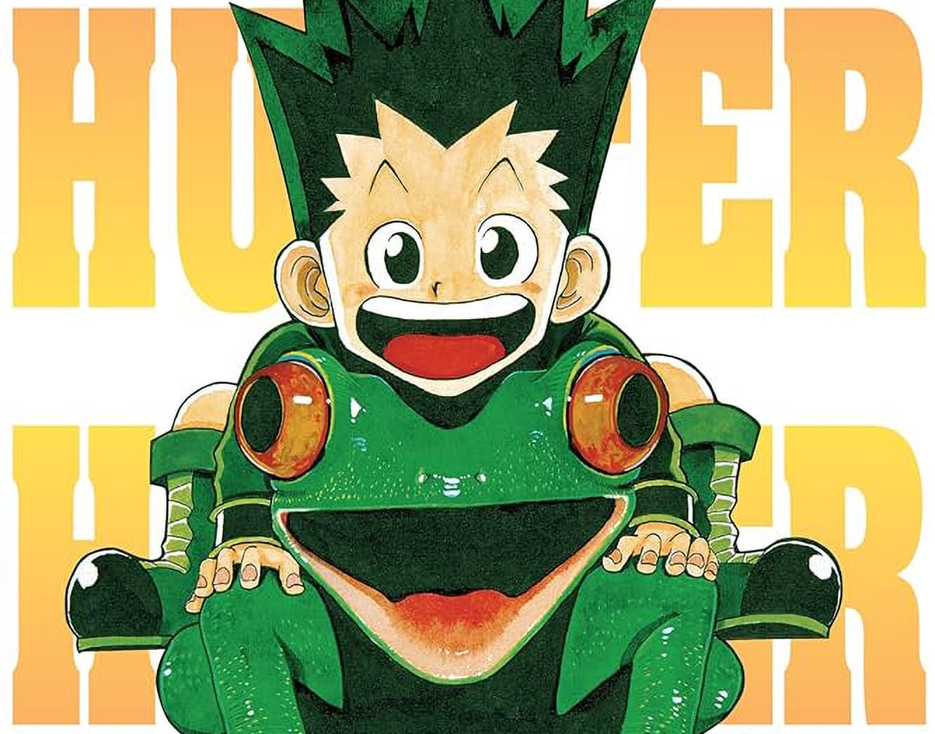 HUNTER X HUNTER volume 1 cover