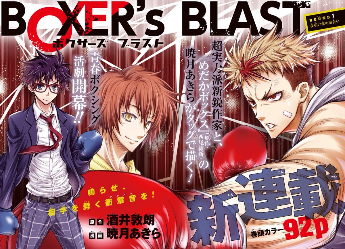 BOXER'S BLAST color page