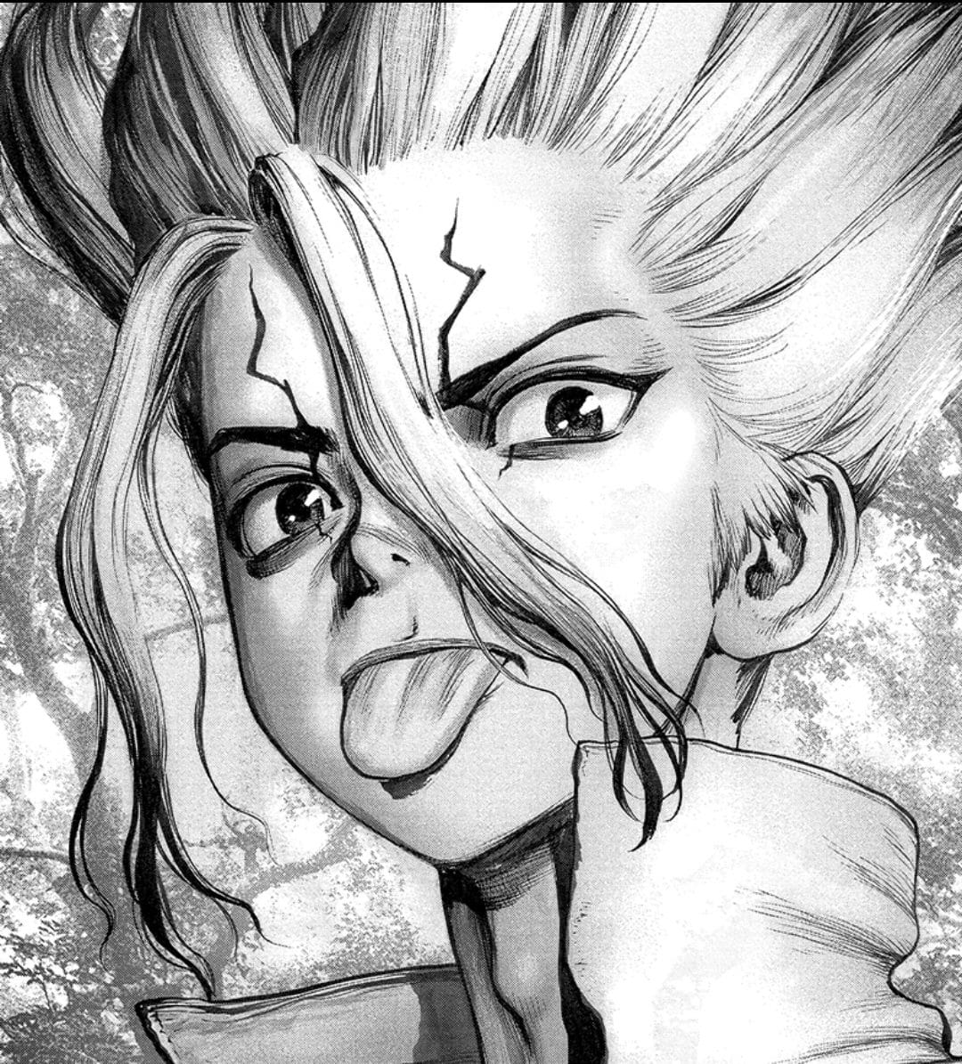 Dr. STONE