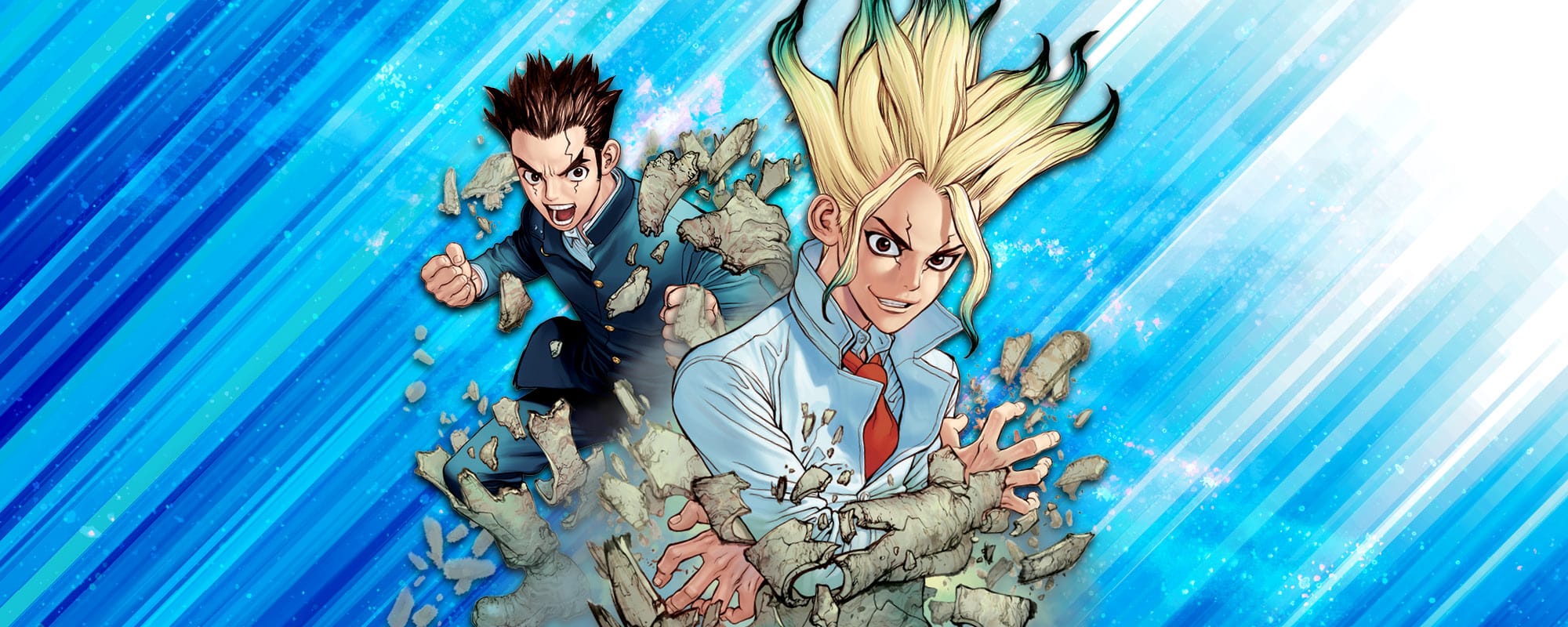 Dr. STONE