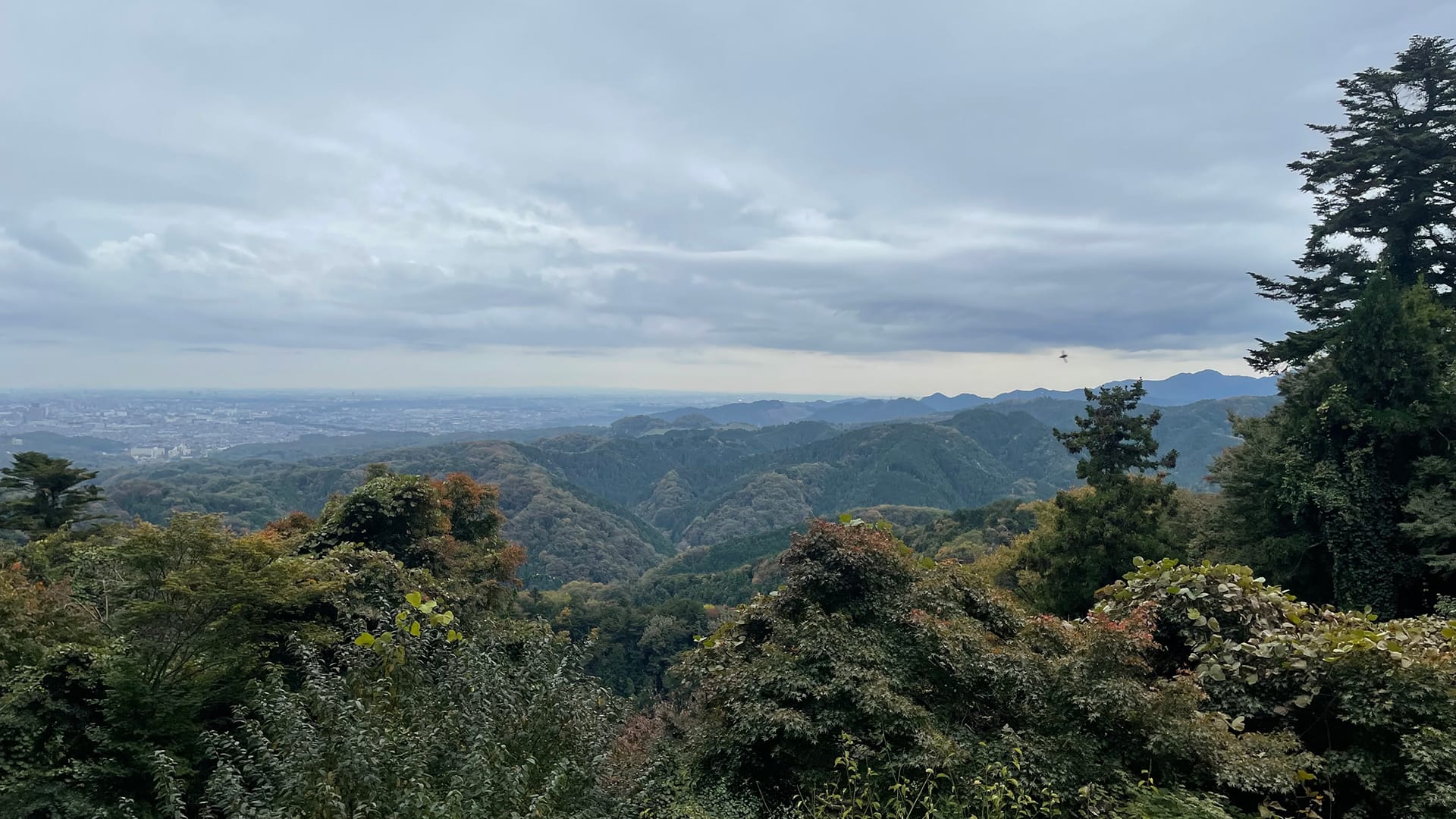 View from Mt. Takao