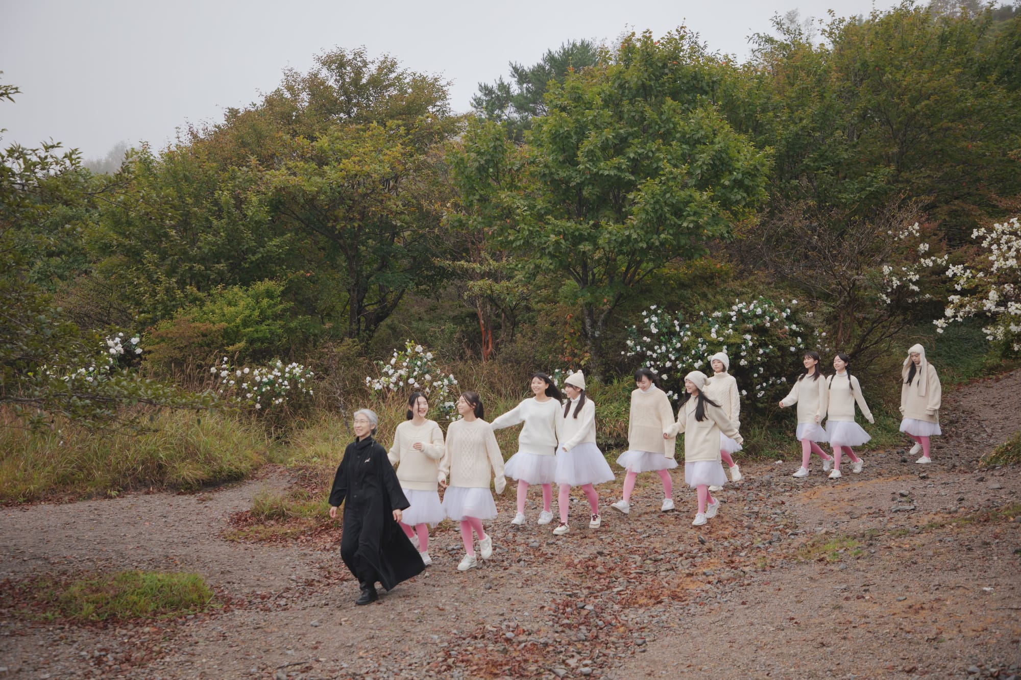 White Flowers and Fruits