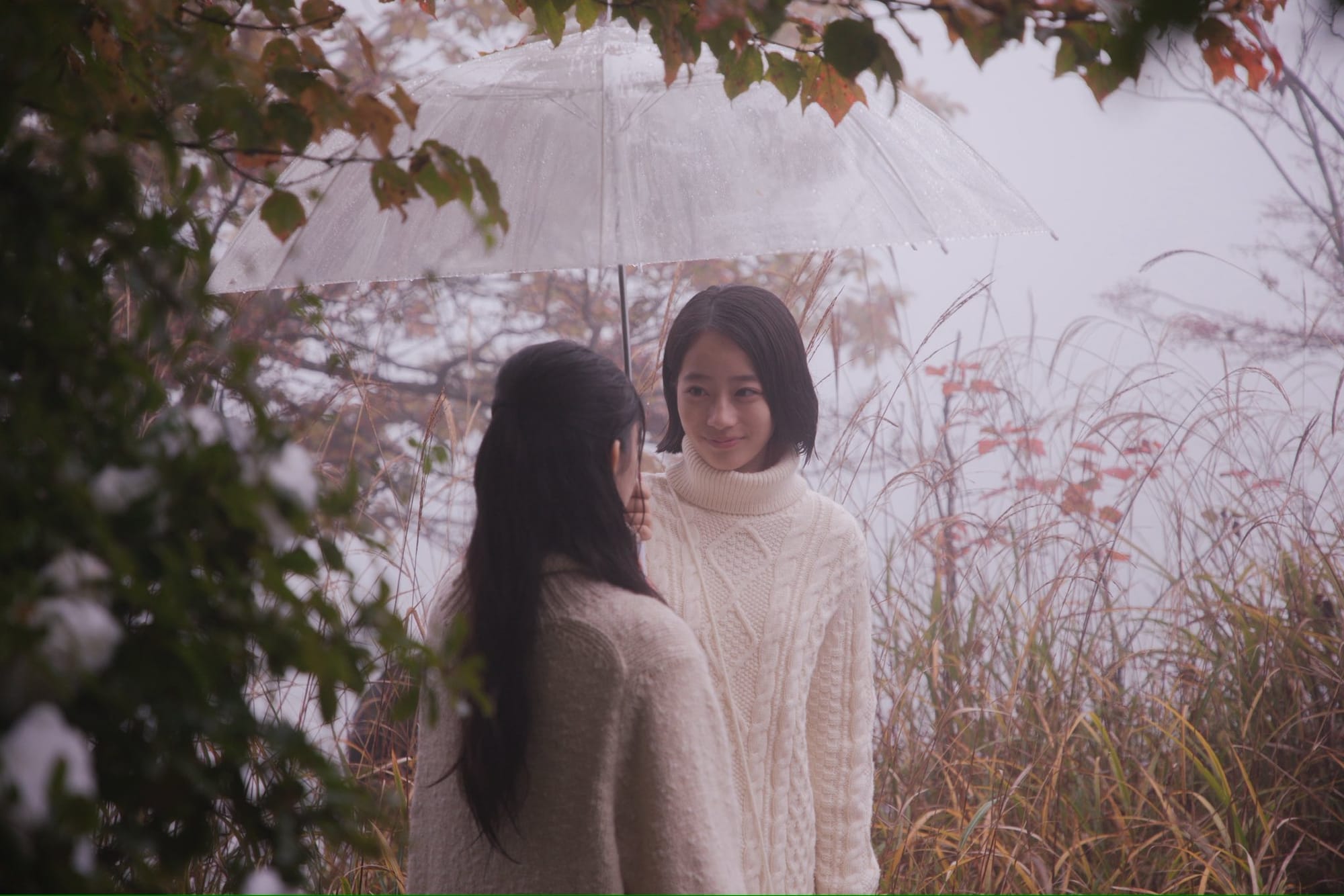 White Flowers and Fruits
