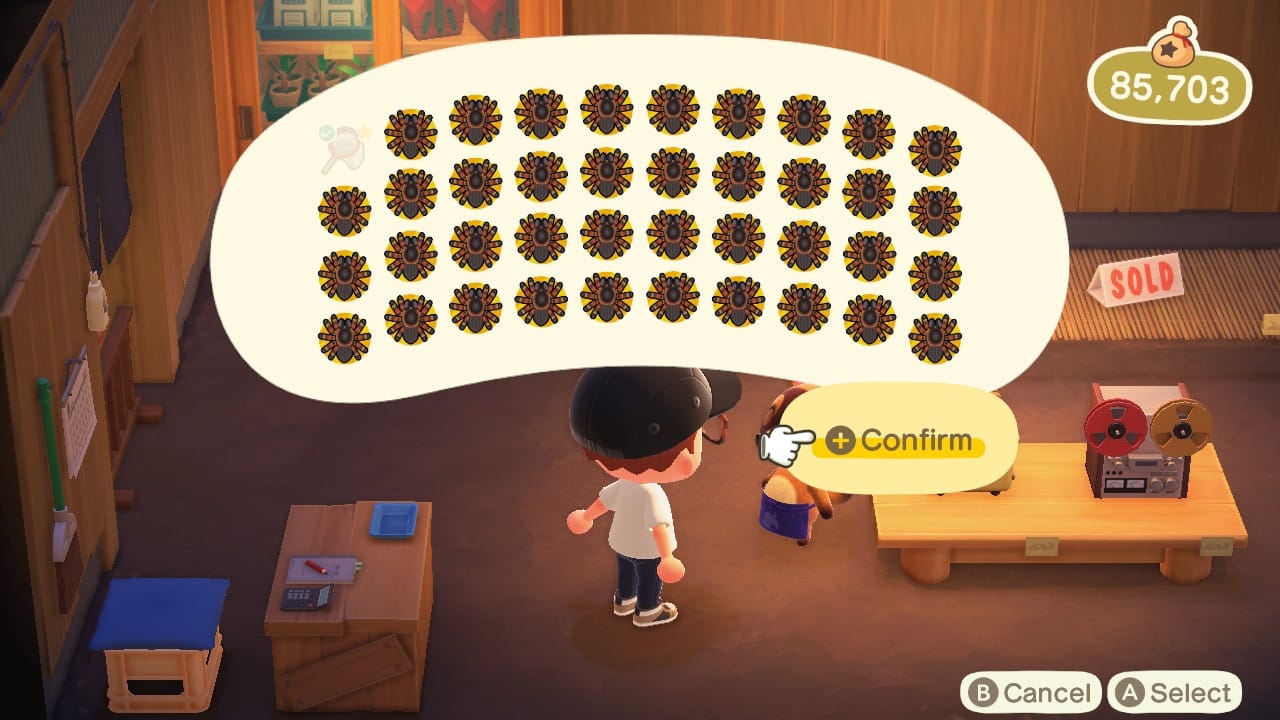 Animal Crossing: New Horizions - Tarantula Farming