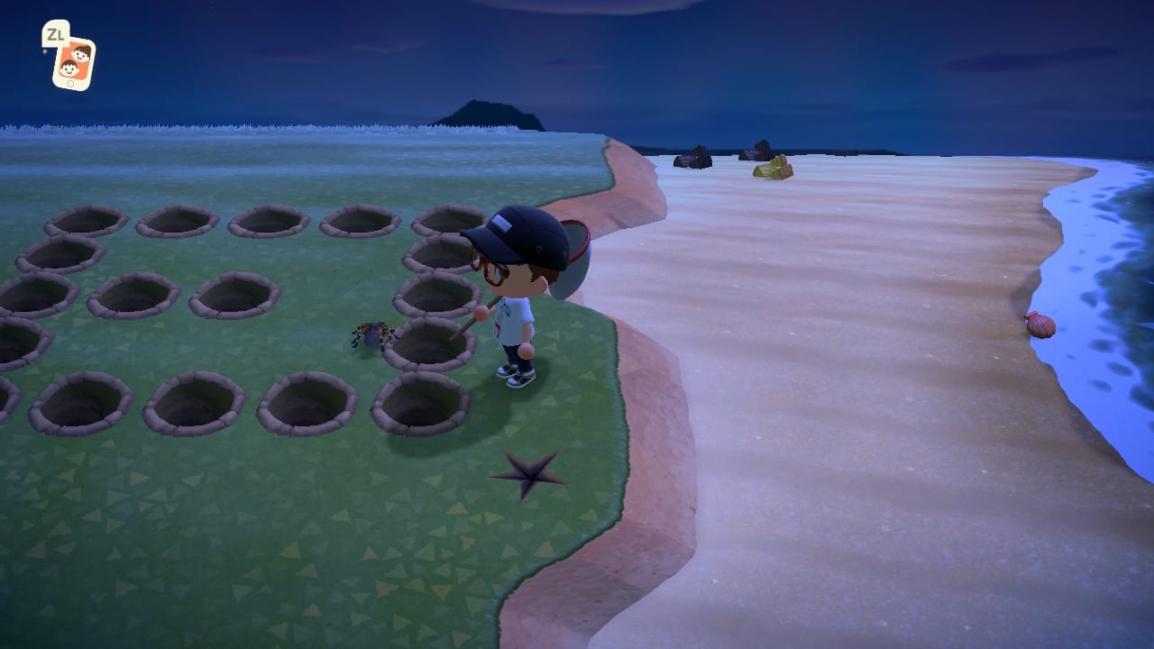 Animal Crossing: New Horizions - Tarantula Farming