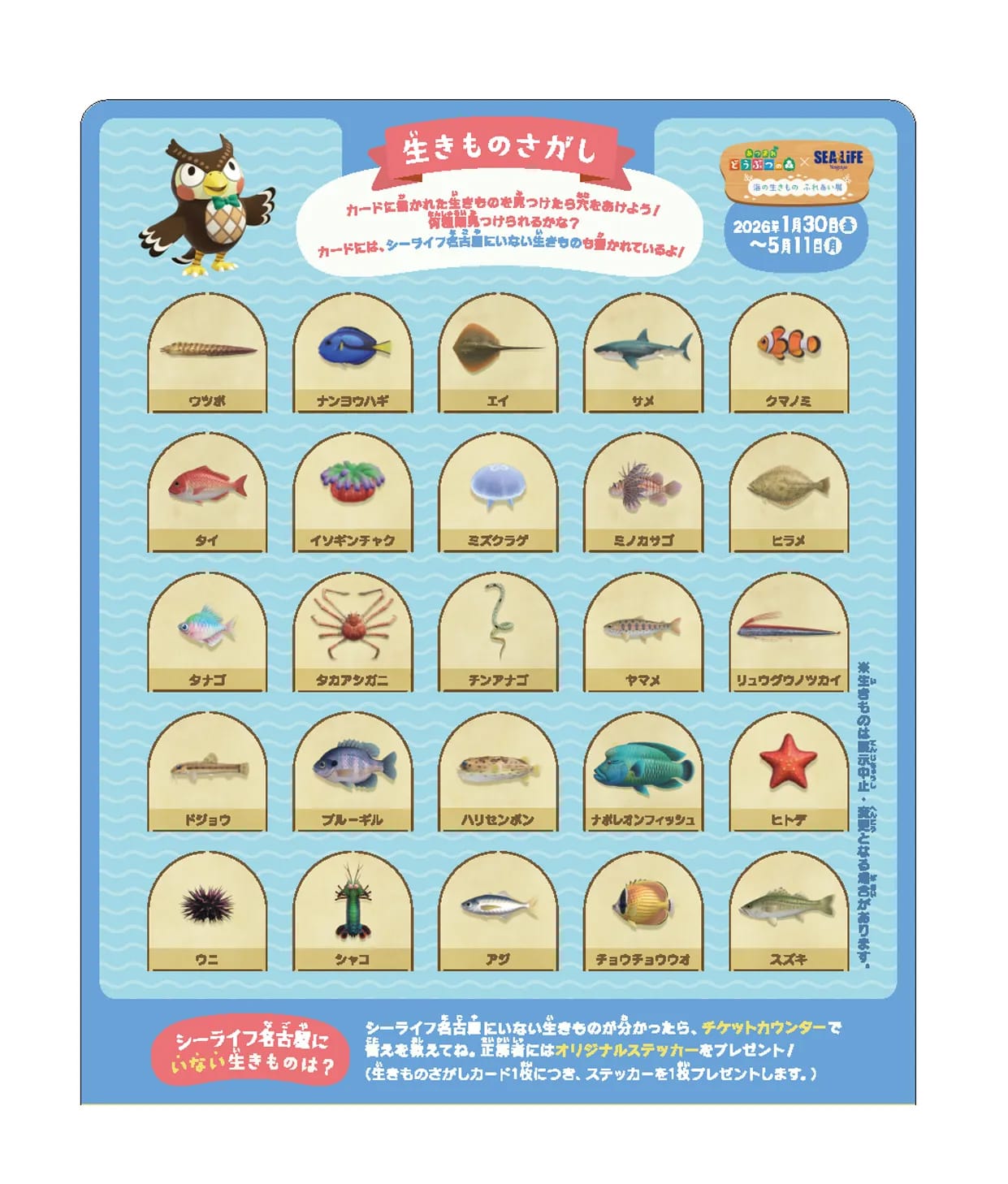 Animal Crossing: New Horizons × Nagoya Sea Life Aquarium – Creature Search card