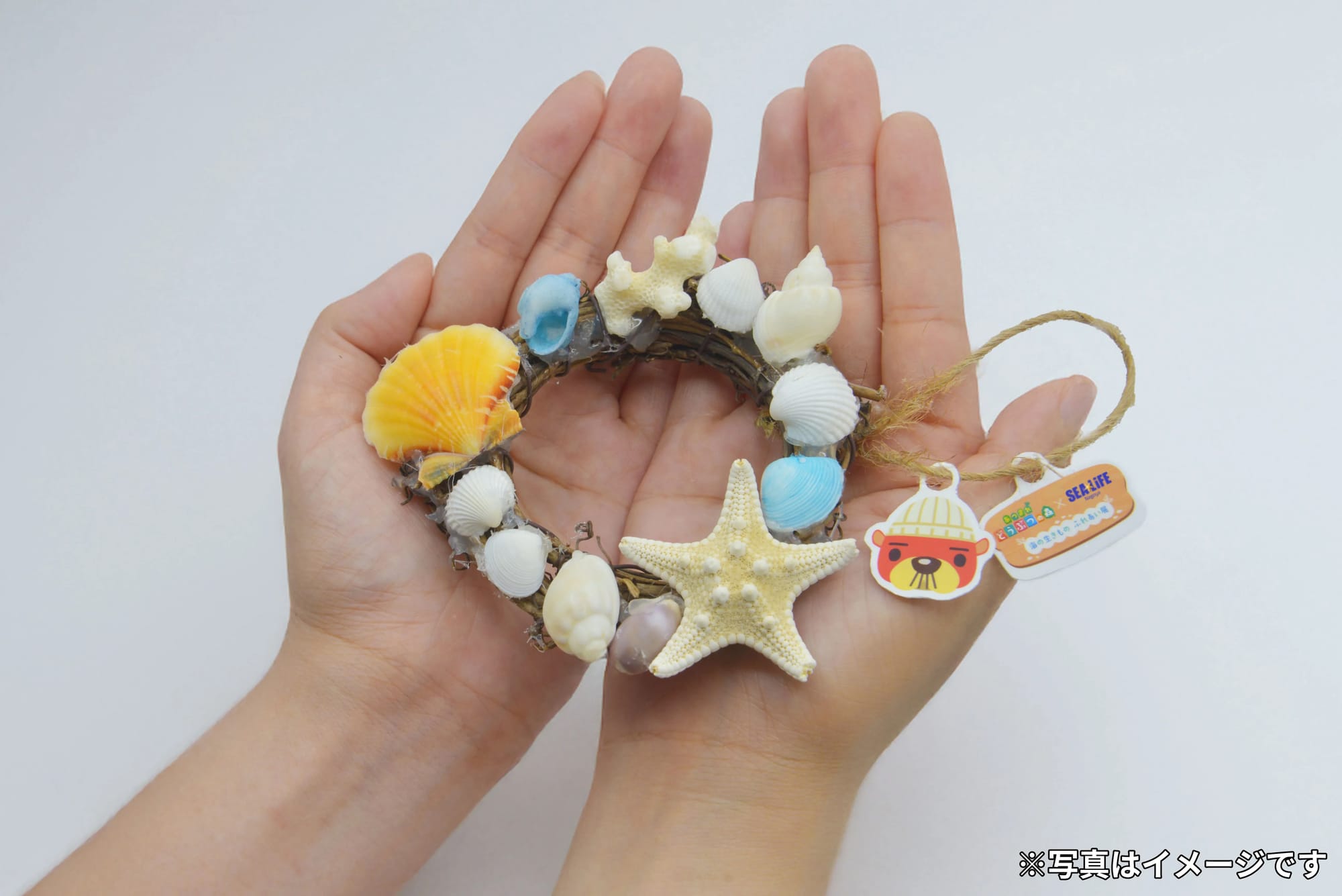 Animal Crossing: New Horizons × Nagoya Sea Life Aquarium – Shell Wreath