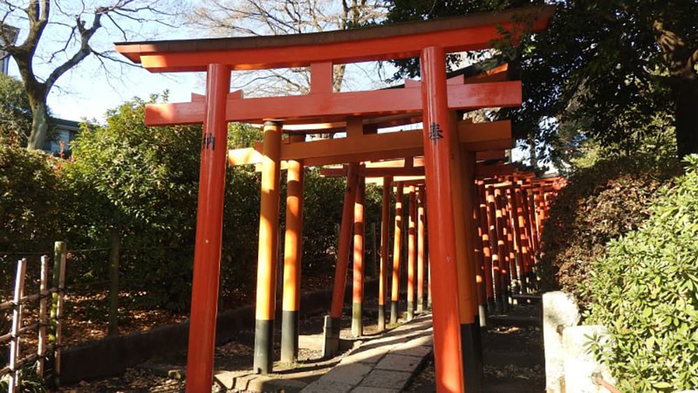 an image of multiple vermillion shinto torii lined up one after the other 