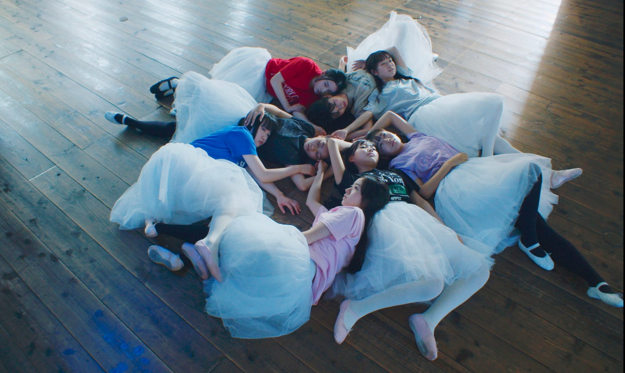 White Flowers and Fruits