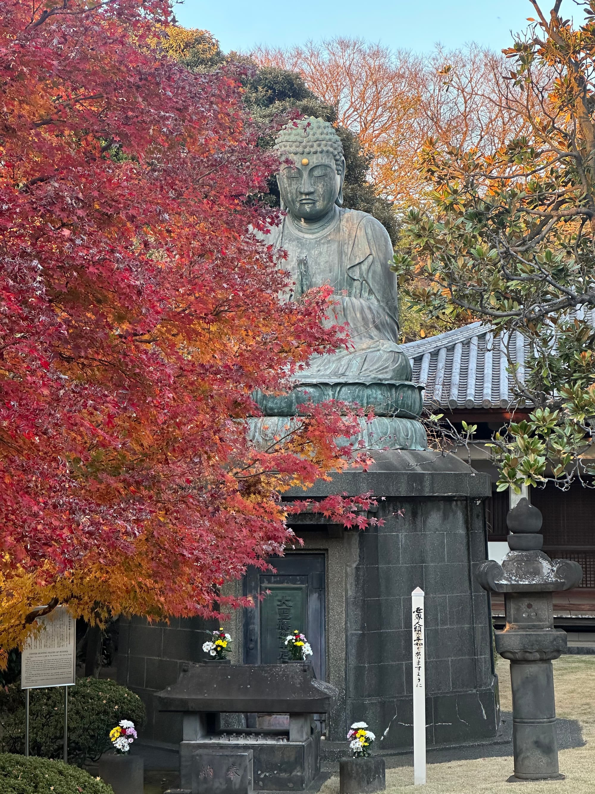 phtoto of a statue of the buddha seated in meditation partially obscured by red maple leaves