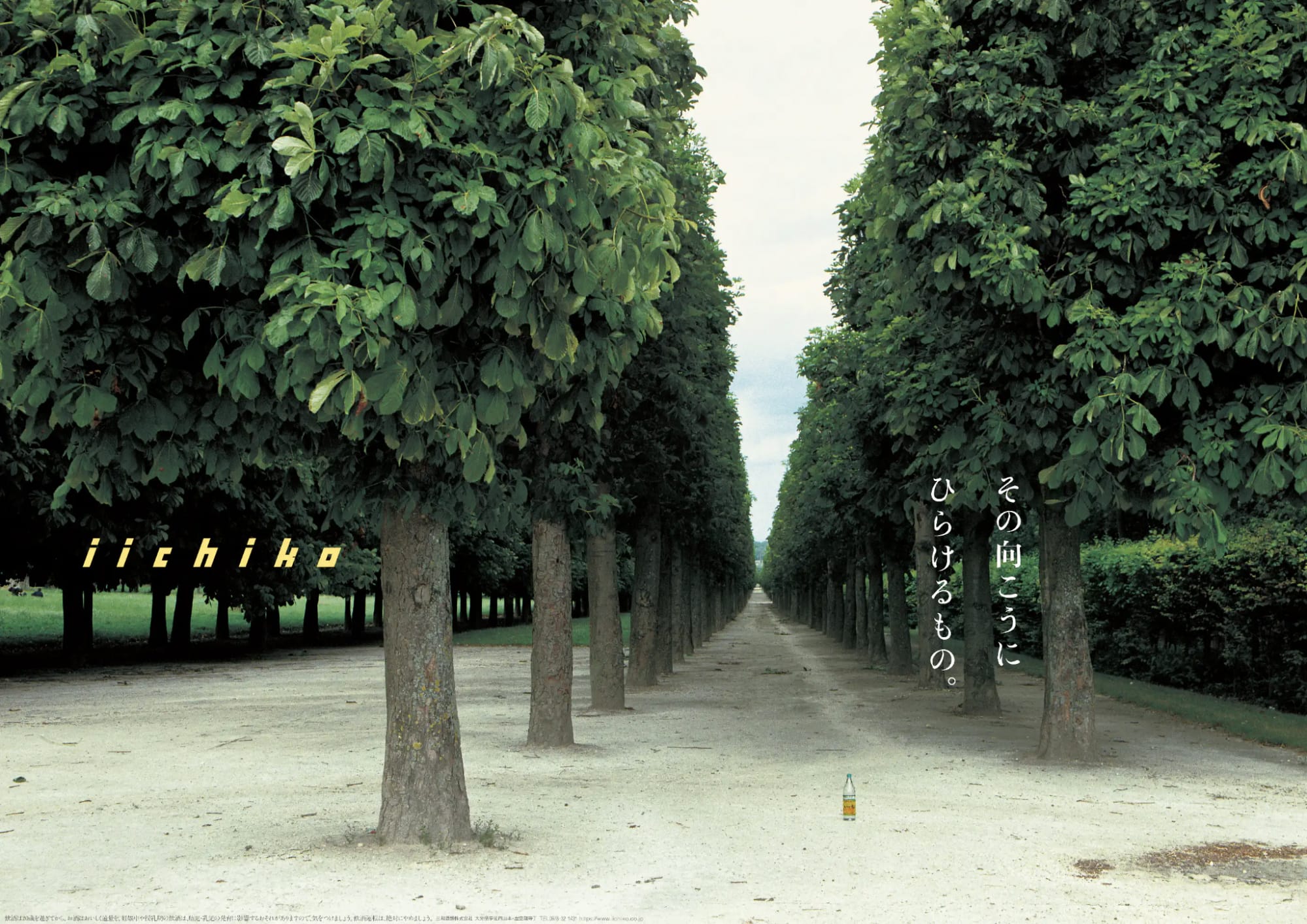 iichiko poster December 2024