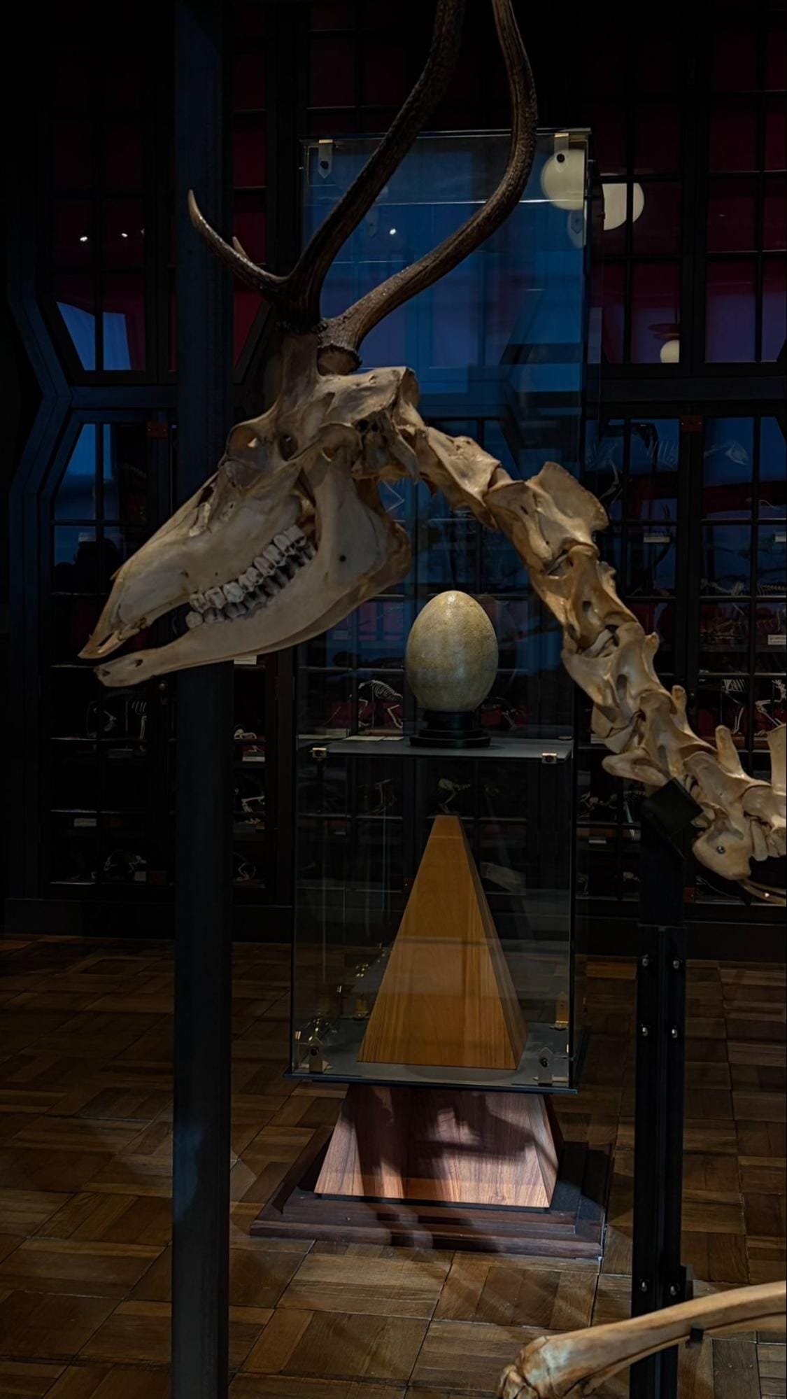 The Intermediatheque