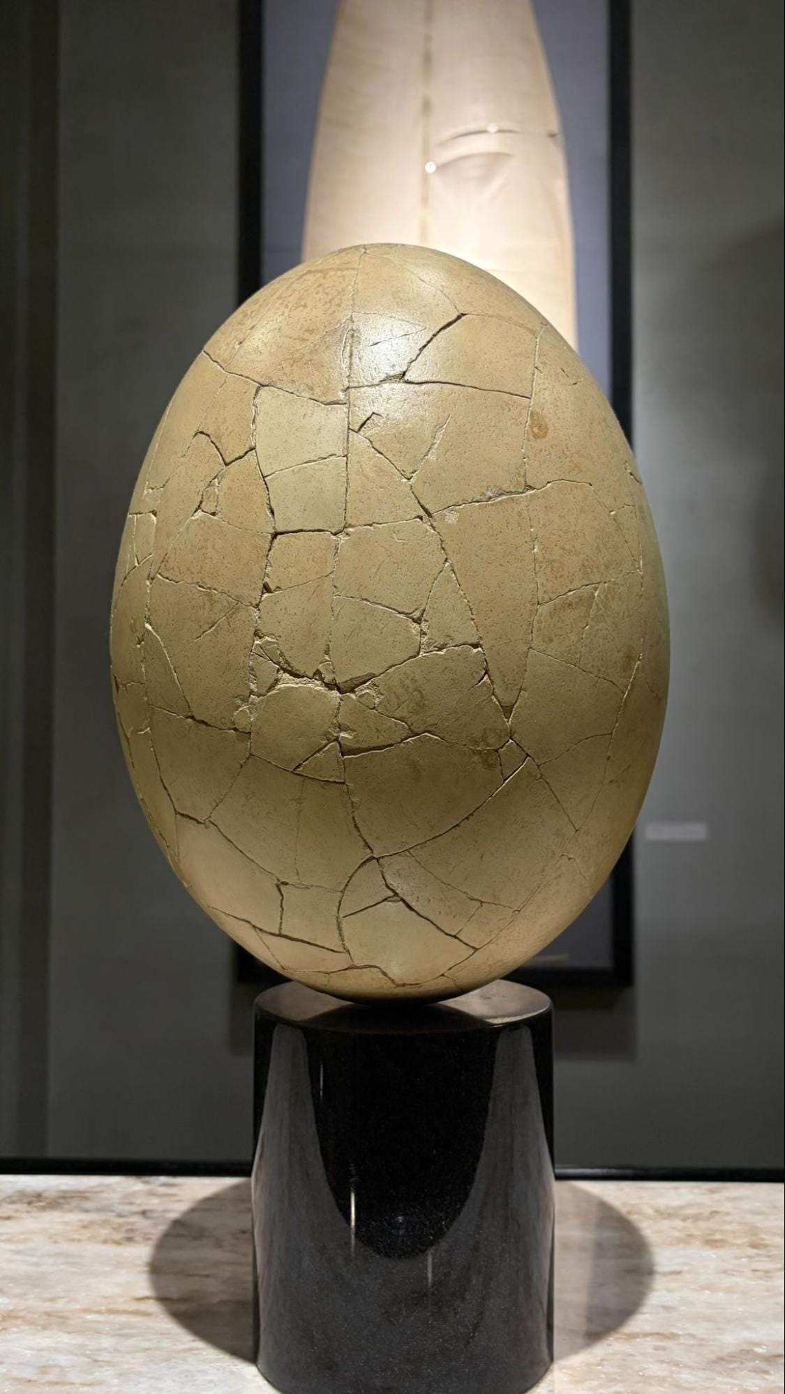 The Intermediatheque