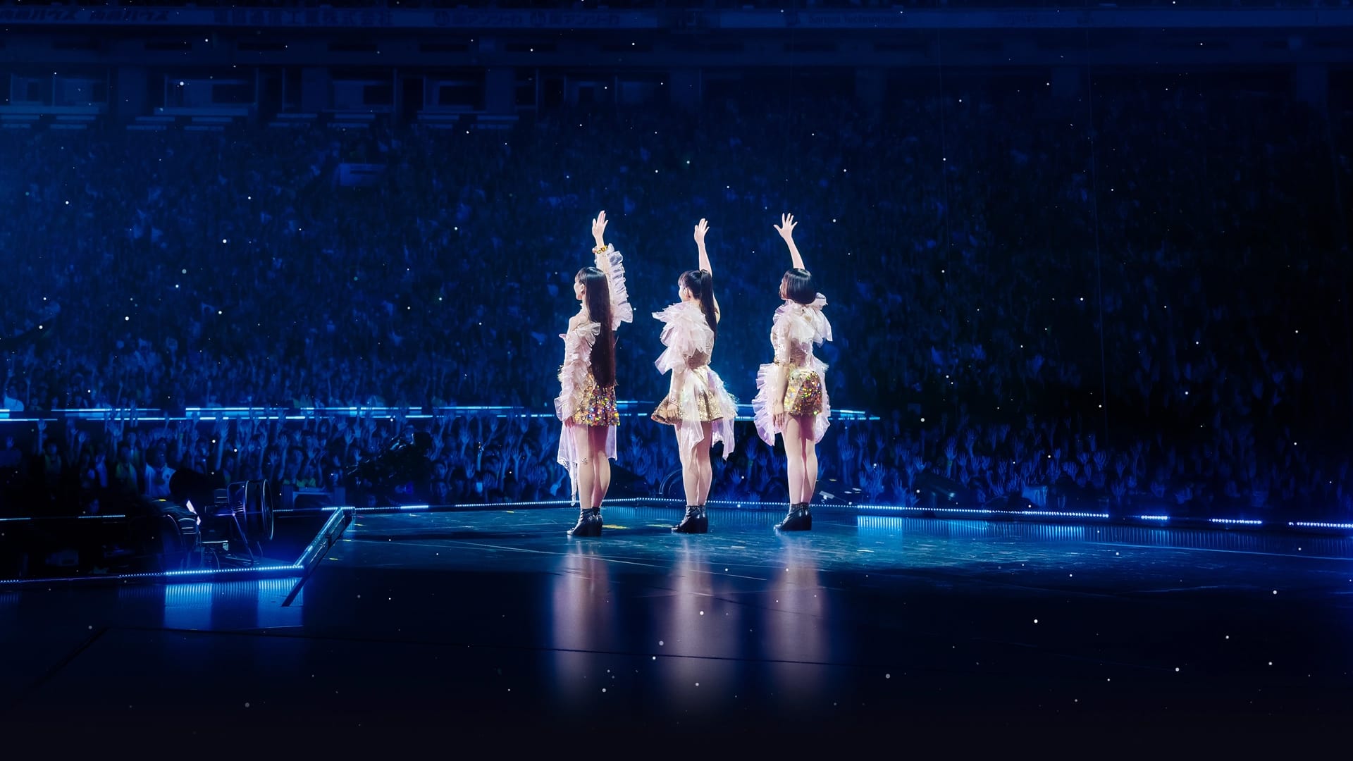 Perfume Cold Sleep 25 Years Document