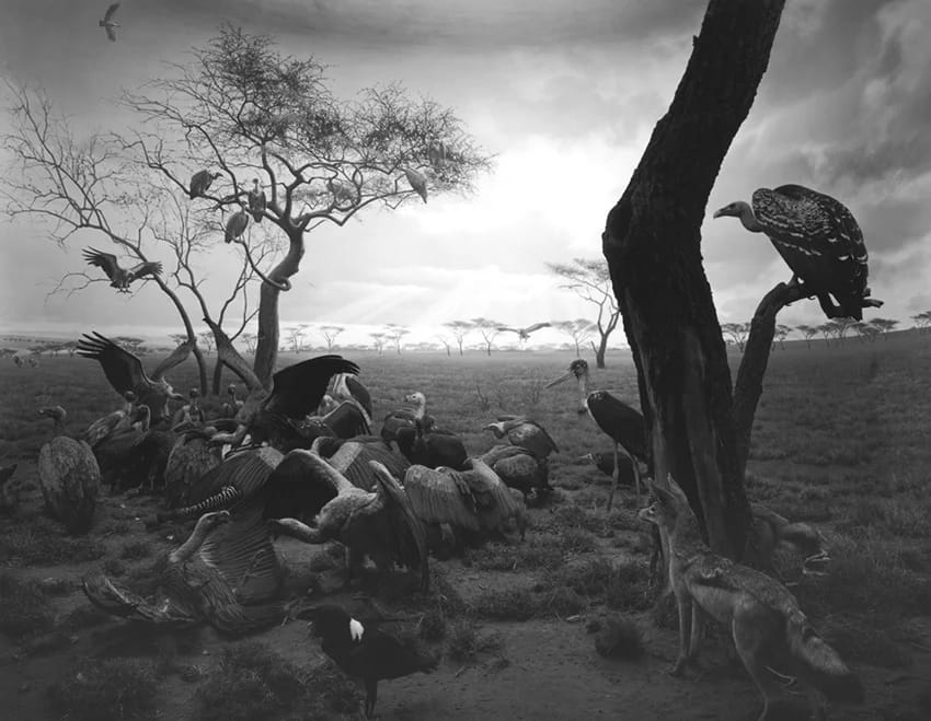Hiroshi Sugimoro - Diorama