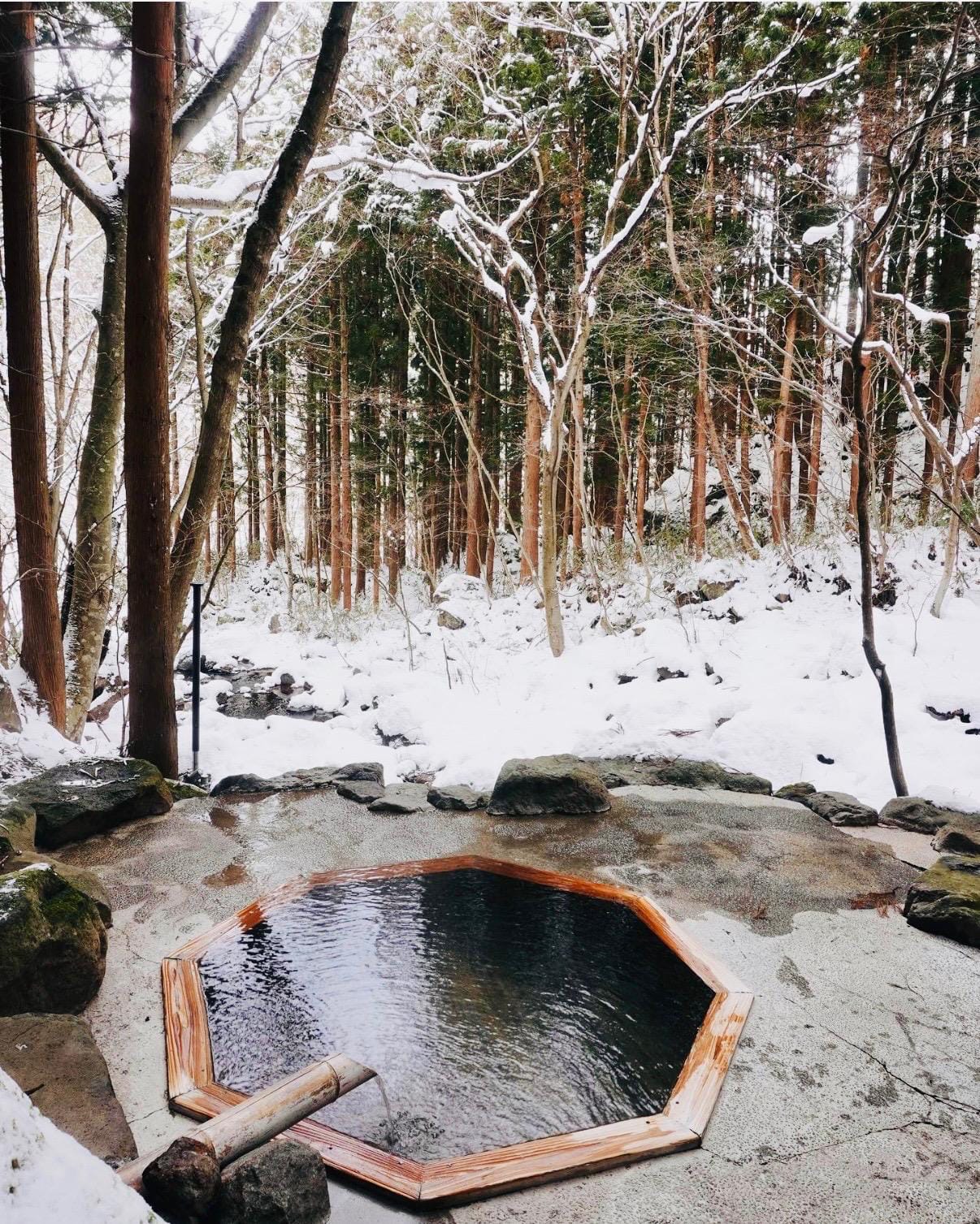 An outdoor bath in Japan