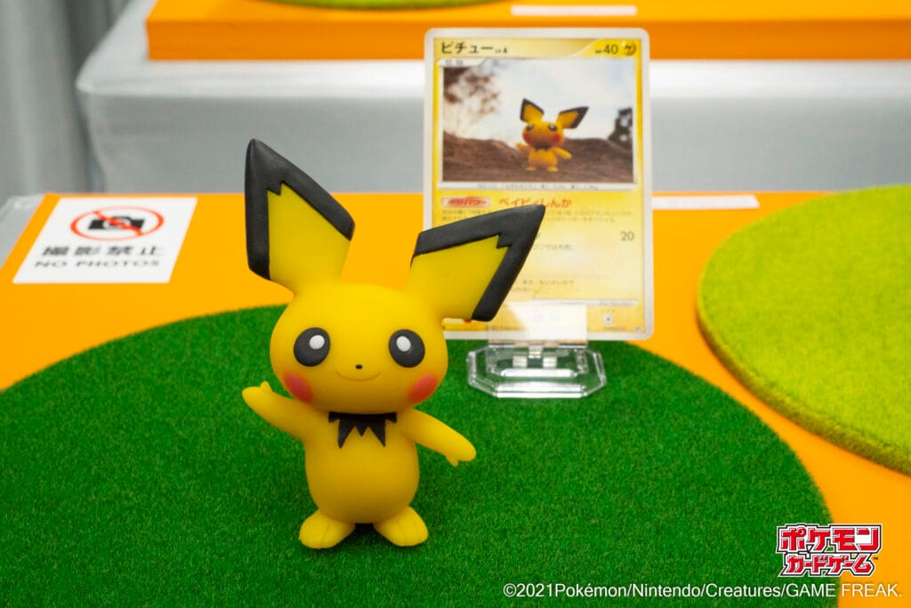 Pichu - Mysterious Treasures
