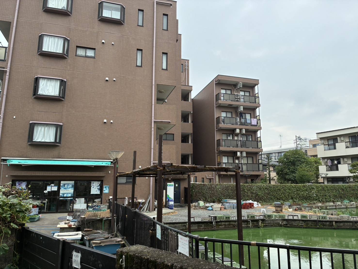 The actual Asagaya fishing spot prominently featured in Hirayasumi.
