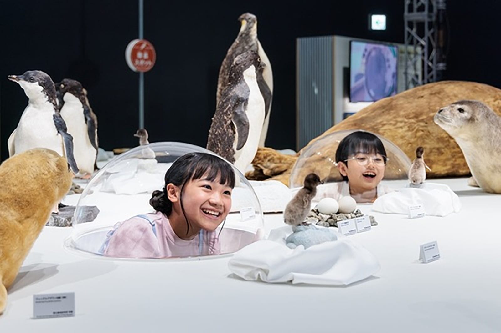 Miraikan Emerging Science Museum